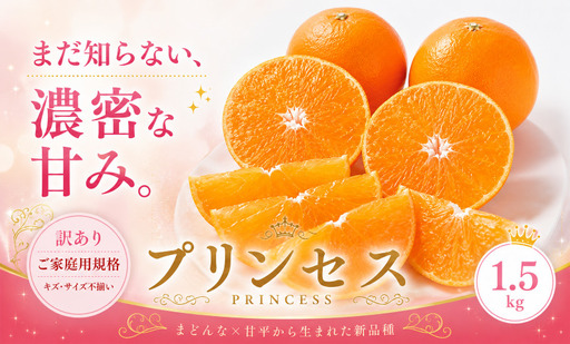 [訳あり 愛媛県産プリンセス 合計約1.5kg]『2027年2月下旬〜3月下旬迄に順次出荷予定』 幻の柑橘 希少種 甘い あまい 果汁 果物 くだもの フルーツ みかん オレンジ 柑橘 人気 特産品 株式会社OSN 愛媛県 西予市 [常温]OOS0029