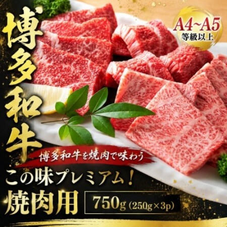この味プレミアム!【A4～A5】博多和牛焼肉用　750g(250g×3p)(大野城市)【配送不可地域：離島】【1770970】