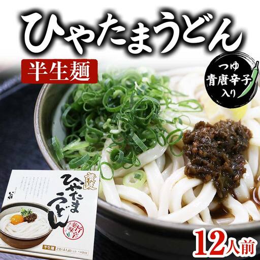 [セット]半生うどん (つゆ・青唐辛子入り) 3箱 うどん 麺 麺類 加工品 食品 F5J-175