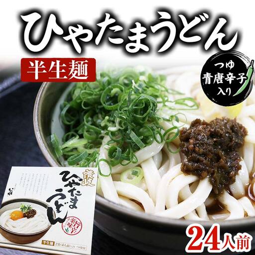 【セット】半生うどん (つゆ・青唐辛子入り)  6箱 うどん 麺 麺類 加工品 食品  F5J-176