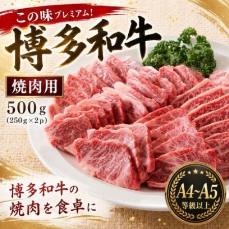 この味プレミアム!【A4～A5】博多和牛焼肉用　500g(250g×2p)(大野城市)【配送不可地域：離島】【1770971】