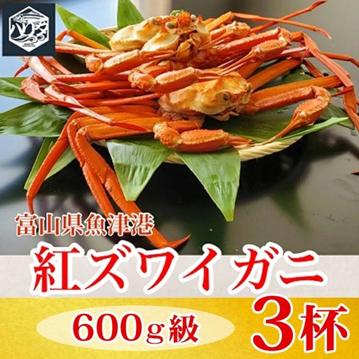 【冷蔵】自社漁船直送！魚卸問屋の紅ズワイガニ 600g級×3ハイセット ※2026年9月～発送