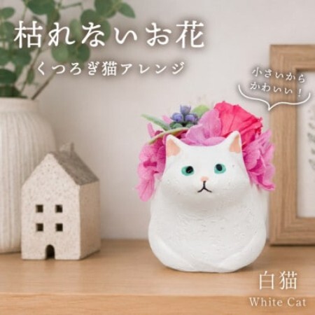プリザーブドフラワー くつろぎ猫 白猫 枯れないお花、猫好きの方へのプレゼントにもおすすめ!【配送不可地域：離島】【1750209】