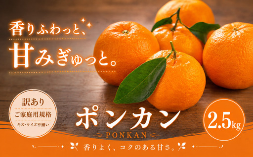 [訳あり 愛媛県産ポンカン 合計約2.5kg]『2027年1月上旬〜3月上旬迄に順次出荷予定』 ジューシー 甘い ご家庭用 果汁 果物 くだもの フルーツ みかん オレンジ 柑橘 人気柑橘 特産品 株式会社OSN 愛媛県 西予市 [常温]OOS0033