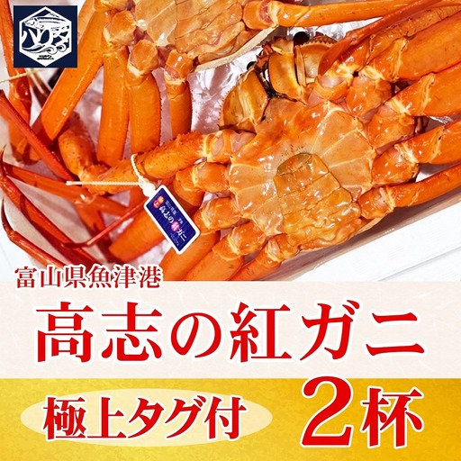 【冷蔵】自社漁船直送！高志の紅ガニ 極上タグ付×2ハイセット ※2026年9月～発送