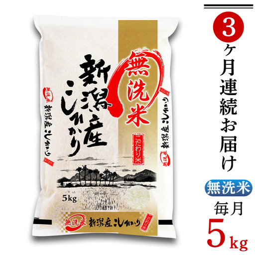 31-M53【無洗米】新潟県産コシヒカリ5kg【3ヶ月連続お届け】