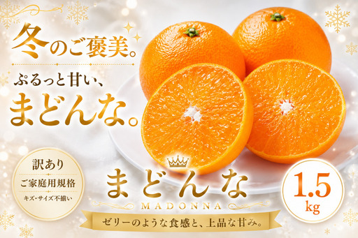 [訳あり 愛媛県産まどんな 合計約1.5kg]『2026年11月下旬〜1月下旬迄に順次出荷予定』 マドンナ ぷるぷる 食感 甘い ご家庭用 果汁 果物 くだもの フルーツ みかん オレンジ 柑橘 人気柑橘 特産品 株式会社OSN 愛媛県 西予市 [常温]OOS0037