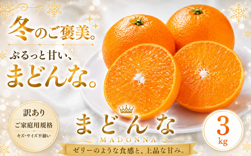 ＜訳あり 愛媛県産まどんな 合計約3kg＞『2026年11月下旬～1月下旬迄に順次出荷予定』 マドンナ ぷるぷる 食感 甘い ご家庭用 果汁 果物 くだもの フルーツ みかん オレンジ 柑橘 人気柑橘 特産品 株式会社OSN 愛媛県 西予市 【常温】OOS0038