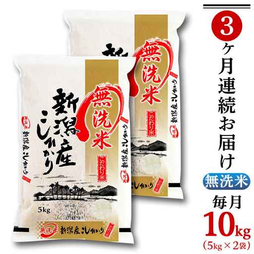 31-M103【無洗米】新潟県産コシヒカリ10kg（5kg×2袋）【3ヶ月連続お届け】