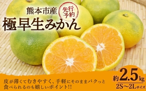 [ R8年熊本地震復興支援 ]極早生みかん 約2.5kg ( 2S 〜 2L サイズ ) くだもの 果物 フルーツ みかん ミカン 果実 果汁 果肉 秋の味覚 国産 熊本県産 旬 [ 2026年10月上旬〜11月上旬発送予定 ]