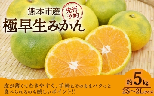 ＜ R8年熊本地震復興支援 ＞極早生みかん 約5kg （ 2S ～ 2L サイズ ） くだもの 果物 フルーツ みかん ミカン 果実 果汁 果肉 秋の味覚 国産 熊本県産 旬 【 2026年10月上旬～11月上旬発送予定 】