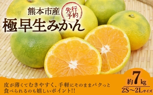 ＜ R8年熊本地震復興支援 ＞極早生みかん 約7kg （ 2S ～ 2L サイズ ） くだもの 果物 フルーツ みかん ミカン 果実 果汁 果肉 秋の味覚 国産 熊本県産 旬 【 2026年10月上旬～11月上旬発送予定 】