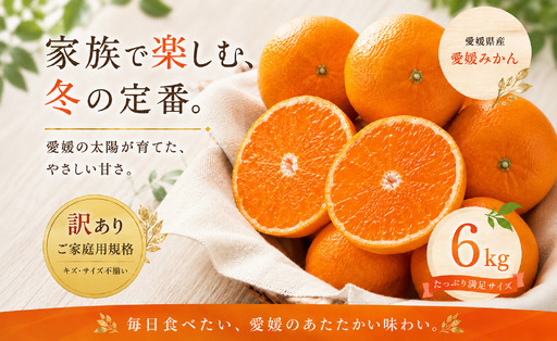 ＜訳あり 愛媛県産みかん 合計約6kg＞『2026年10月下旬～1月下旬迄に順次出荷予定』 ミカン 蜜柑 食感 甘い ご家庭用 果汁 果物 くだもの フルーツ みかん オレンジ 柑橘 人気柑橘 特産品 株式会社OSN 愛媛県 西予市 【常温】OOS0042