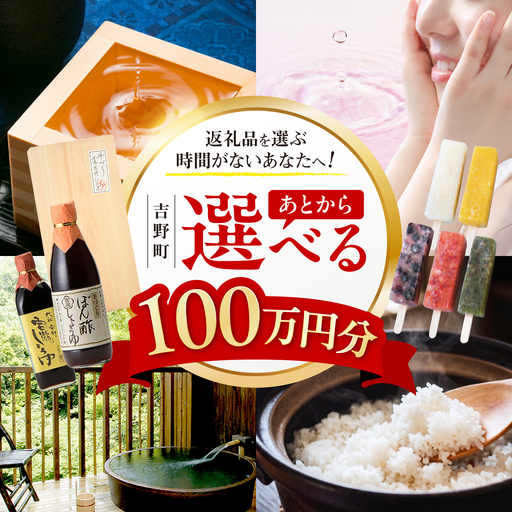 [あとから選べる]吉野町ふるさとギフト 100万円分[BRXX016]