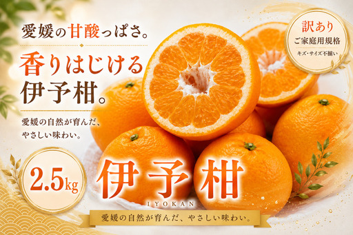 [訳あり 愛媛県産伊予柑 合計約2.5kg]『2027年1月上旬〜2月下旬迄に順次出荷予定』 爽やか いよかん ジューシー 甘い あまい 果汁 果物 くだもの フルーツ みかん オレンジ 柑橘 人気柑橘 特産品 株式会社OSN 愛媛県 西予市 [常温]OOS0045
