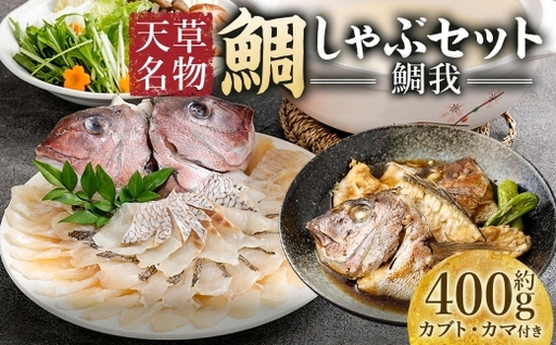 [ R8年熊本地震復興支援 ]天草名物鯛しゃぶセット ー鯛我ー しゃぶしゃぶ 真鯛 鯛 タイ たい マダイ 煮付け 出汁 出汁昆布 昆布 カブト カマ 魚 魚介類 海鮮 冷凍