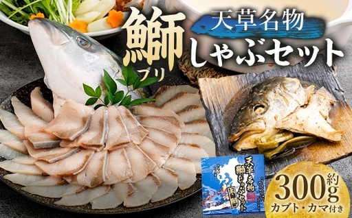 [ R8年熊本地震復興支援 ]天草名物鰤しゃぶセット しゃぶしゃぶ ブリ 寒ブリ ぶり 鰤 ブリしゃぶ 煮付け 出汁 出汁昆布 昆布 カブト カマ 魚 魚介類 海鮮 冷凍