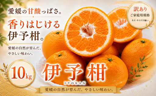 ＜訳あり 愛媛県産伊予柑 合計約10kg＞『2027年1月上旬～2月下旬迄に順次出荷予定』 爽やか いよかん ジューシー 甘い あまい 果汁 果物 くだもの フルーツ みかん オレンジ 柑橘 人気柑橘 特産品 株式会社OSN 愛媛県 西予市 【常温】OOS0048