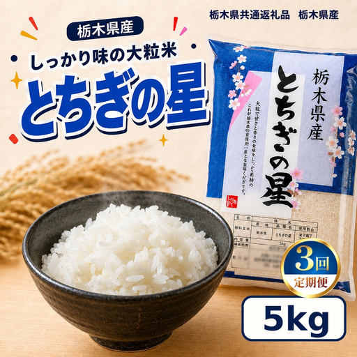 栃木県産 お米 白米 とちぎの星 5kg | 栃木県 矢板市　栃木県共通返礼品 栃木県産