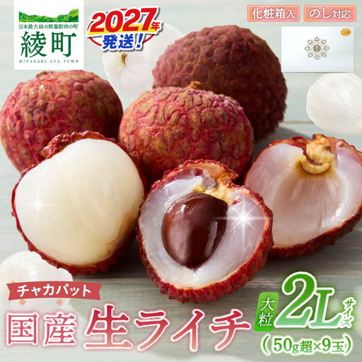 先行予約 数量限定 希少 国産 綾 生ライチ 大粒 2L サイズ(化粧箱入り)果物 フルーツ くだもの 国産ライチ 2027年 トロピカルフルーツ 南国フルーツ 冷蔵 ジューシー 高級 デザート ギフト 贈り物 プレゼント ご褒美 宮崎県 送料無料[JA綾町]