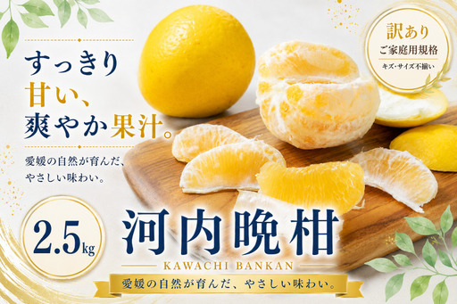[訳あり 愛媛県産河内晩柑 合計約2.5kg]『2027年3月下旬〜7月上旬迄に順次出荷予定』 かわちばんかん ジューシー 甘い あまい 果汁 果物 くだもの フルーツ みかん オレンジ 柑橘 人気柑橘 特産品 株式会社OSN 愛媛県 西予市 [常温]OOS0049
