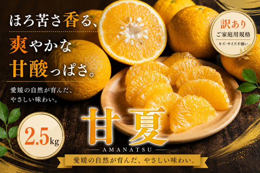 [訳あり 愛媛県産甘夏 合計約2.5kg]『2027年3月下旬〜4月下旬迄に順次出荷予定』あまなつ 甘酸っぱい あまずっぱい ご家庭用 果汁 果物 くだもの フルーツ みかん オレンジ 柑橘 人気柑橘 特産品 株式会社OSN 愛媛県 西予市 [常温]OOS0053