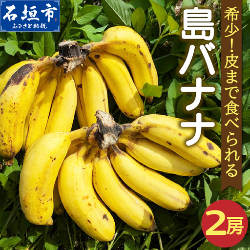 希少！皮まで食べられる特別な石垣島産 島バナナ 2房 | ふるさと納税 沖縄県石垣市 沖縄 石垣市 石垣島 希少 無農薬 バナナ ばなな 離島のいいもの 沖縄いいもの石垣島 OI-027