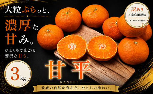 ＜訳あり 愛媛県産甘平 合計約3kg＞『2027年1月下旬～3月上旬迄に順次出荷予定』かんぺい 希少種 甘い ご家庭用 果汁 果物 くだもの フルーツ みかん オレンジ 柑橘 人気柑橘 特産品 株式会社OSN 愛媛県 西予市 【常温】OOS0058