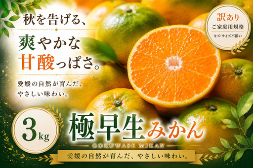 [訳あり 愛媛県産極早生みかん 合計約3kg]『2026年9月下旬〜11月上旬迄に順次出荷予定』ごくわせ ミカン 蜜柑 食感 甘い ご家庭用 果汁 果物 くだもの フルーツ オレンジ 柑橘 人気柑橘 特産品 株式会社OSN 愛媛県 西予市 [常温]OOS0061