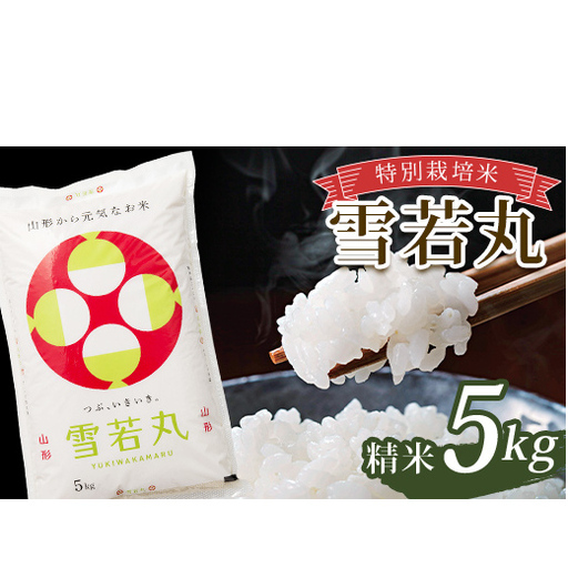 令和7年産 特別栽培米 雪若丸 (精米) 5kg 山形県南陽市産 米 白米 ご飯 農家直送 山形県 南陽市 [2365-A]
