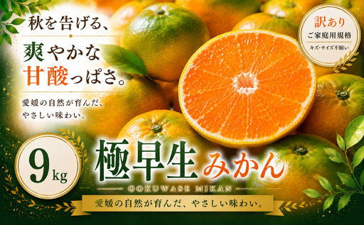 ＜訳あり 愛媛県産極早生みかん 合計約9kg＞『2026年9月下旬～11月上旬迄に順次出荷予定』ごくわせ ミカン 蜜柑 食感 甘い ご家庭用 果汁 果物 くだもの フルーツ オレンジ 柑橘 人気柑橘 特産品 株式会社OSN 愛媛県 西予市 【常温】OOS0063
