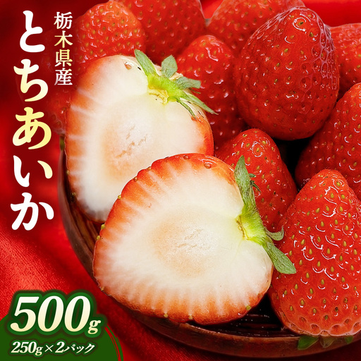 [先行受付]栃木県産 とちあいか 500g(250g×2パック)| 苺 イチゴ 国産 数量限定 ブランド ふるさと納税 フルーツ 果物 ※2027年1月〜発送