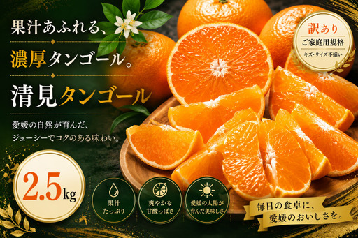 [訳あり 愛媛県産清見タンゴール 合計約2.5kg]『2027年3月上旬〜4月下旬迄に順次出荷予定』 濃厚 甘い ご家庭用 果汁 果物 くだもの フルーツ みかん オレンジ 柑橘 人気柑橘 特産品 株式会社OSN 愛媛県 西予市 [常温]OOS0065