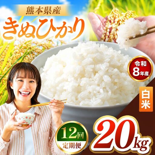 【 定期便 12回 】R8年産 熊本県産 白米 きぬひかり 20kg