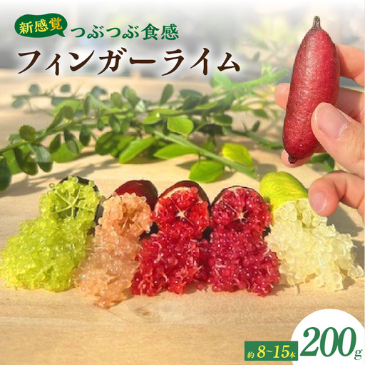 新感覚つぶつぶ食感！フィンガーライム　200ｇ（約10～18本）｜フルーツ