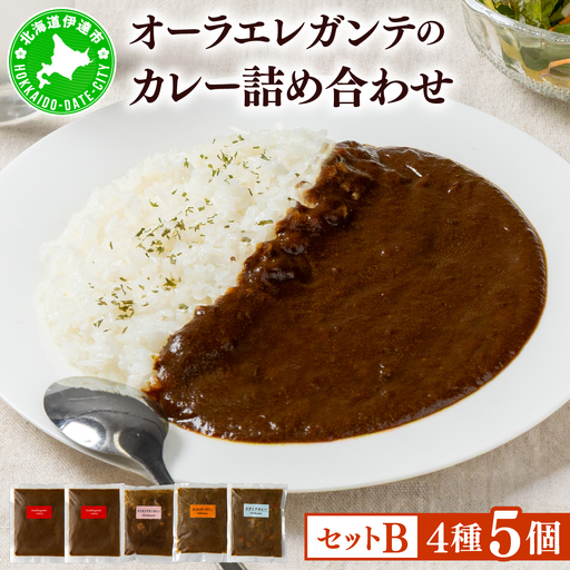 欧風カレー専門店の厨房でじっくり煮込んだカレーの詰め合わせ (冷凍)【Bセット／5個】【ora-002】