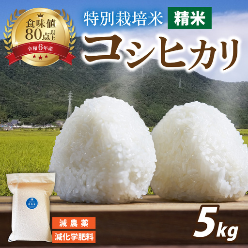 [令和7年産]南条米 特別栽培米コシヒカリ 真空パック5kg [A-011001] 福井 ブランド米