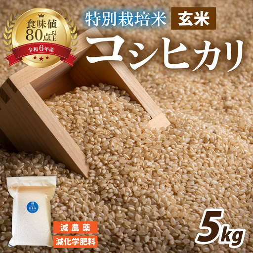 [令和7年産]南条米 特別栽培米コシヒカリ 真空パック 玄米 5kg
