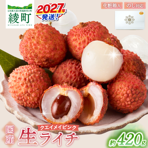 先行予約 数量限定 希少 国産 綾生ライチ「クエイメイピンク」化粧箱入り 果物 フルーツ くだもの 国産ライチ 2027年 トロピカル 南国フルーツ 冷蔵 高級 デザート ギフト 贈り物 プレゼント ご褒美 おすすめ 宮崎県 送料無料 【JA綾町】_A0114-268