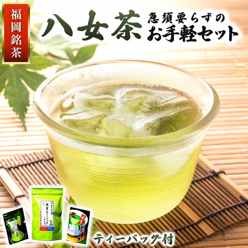 福岡銘茶 八女茶 ティーバッグ付 急須要らずのお手軽セット（便利なチャック付）