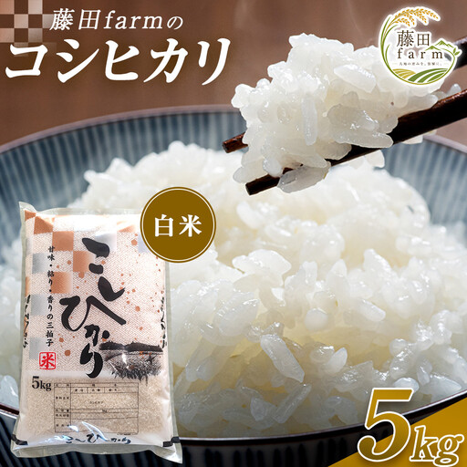[先行予約受付]≪10月上旬発送≫令和8年産 大田原市 藤田farmのコシヒカリ[白米]5kg |栃木県産 米 お米 コメ こしひかり コシヒカリ 栃木県 [選べる容量]5kg 10kg 数量限定