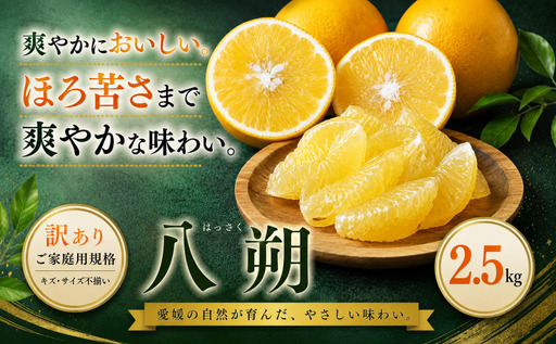 [訳あり 愛媛県産八朔 合計約2.5kg]『2027年2月上旬〜3月下旬迄に順次出荷予定』ご家庭用 爽やか 果汁 果物 はっさく くだもの フルーツ みかん オレンジ 柑橘 人気柑橘 特産品 株式会社OSN 愛媛県 西予市 [常温]OOS0069