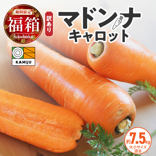 【福箱★2027】訳あり！「マドンナキャロット」 7.5kg　H105-277