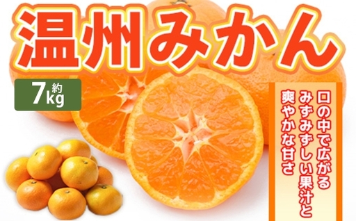 温州みかん 約7kg 2S ～ 2Lサイズ みかん ミカン 蜜柑 果物 くだもの フルーツ 柑橘 柑橘系 柑橘類 果実 果肉 国産 熊本県産 【 2026年11月上旬～12月上旬発送予定 】