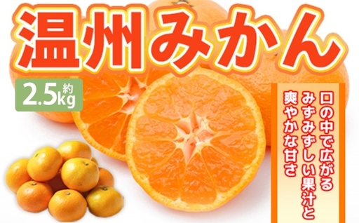 温州みかん 約2.5kg 2S 〜 2Lサイズ みかん ミカン 蜜柑 果物 くだもの フルーツ 柑橘 柑橘系 柑橘類 果実 果肉 国産 熊本県産 [ 2026年11月上旬〜12月上旬発送予定 ]