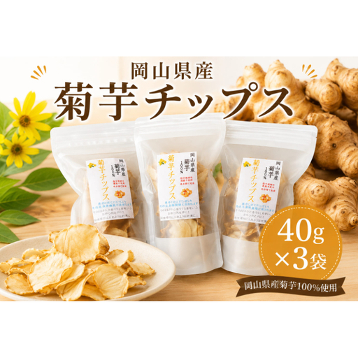 岡山県産 菊芋チップス (40g×3袋) 菊芋 チップス 乾燥菊芋 国産 おやつ おつまみ スナック