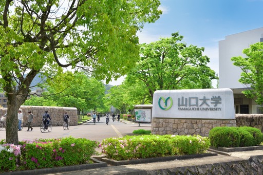 [返礼品なし]山口大学支援事業(教育研究・人材育成・地域貢献活動への支援) | 山口県山口市 学生応援