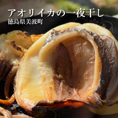 アオリイカの一夜干し