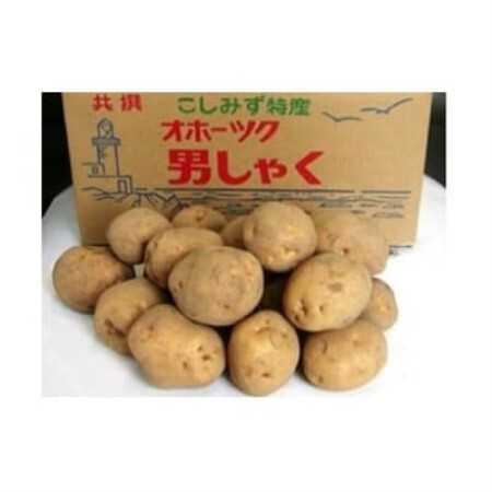 北海道小清水町産 男爵いも10kg ほくほく食感 産地直送