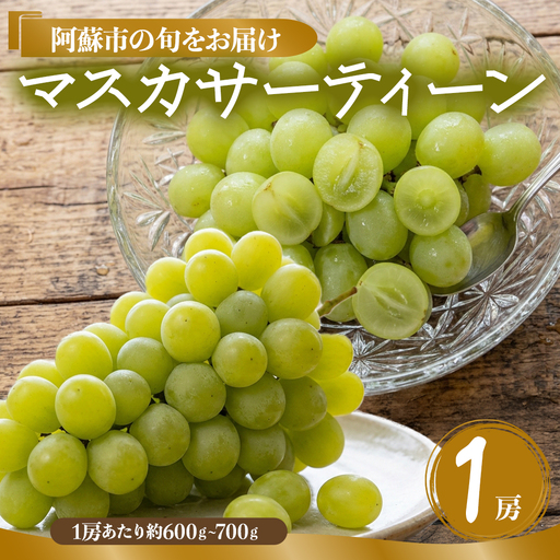 希少品種 マスカサーティーン 1房 約600g〜約700g ぶどう 後藤ぶどう園 希少 新鮮 期間限定 皮ごとブドウ お取り寄せ おやつ 美味しい ジューシー みずみずしい 甘い サクサク 高級 豪華 熊本県 阿蘇市